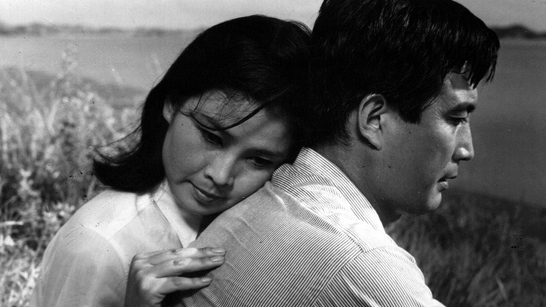 Flores en el infierno. La edad de oro del cine coreano