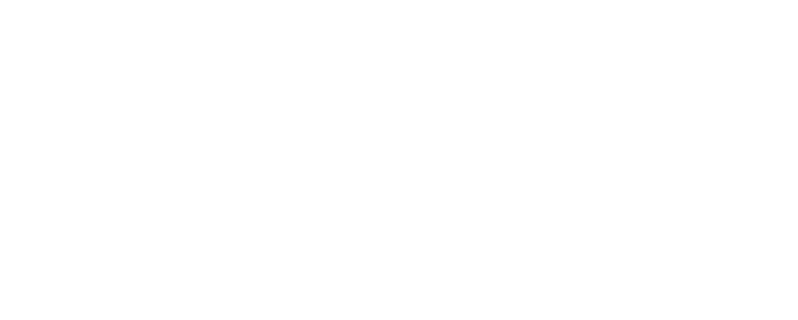 Festival REC