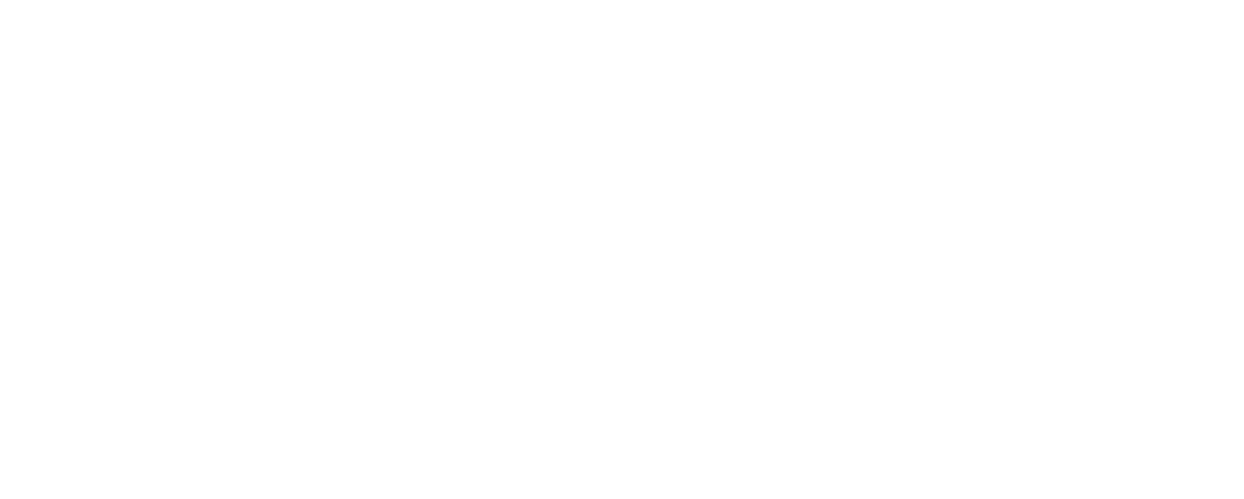 LGTBI+