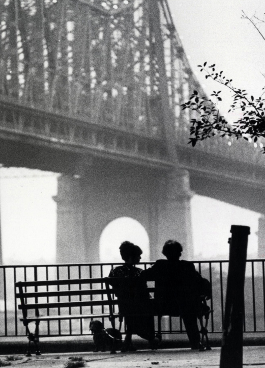 Historias de Nueva York