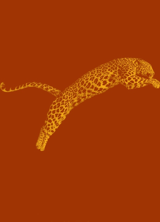 Festival de Locarno