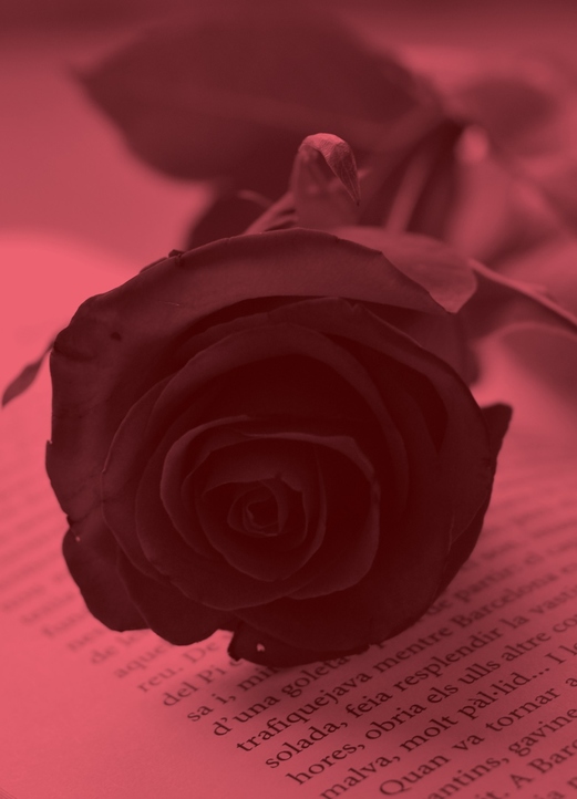 Sant Jordi