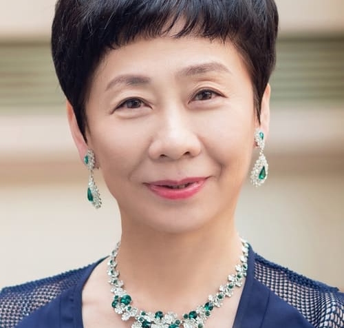 Pel·lícules, sèries i curts de Wang Xiaoping Filmincat