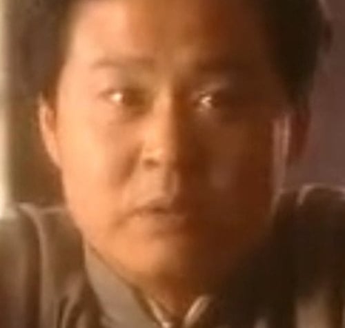 Pel·lícules, sèries i curts de Limin Wang Filmincat