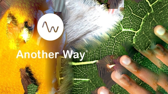 Festival Another Way 2022: nuestras 5 favoritas