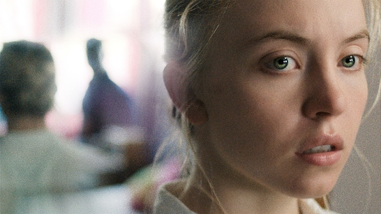 Las favoritas de AMFF 2023 del equipo de Filmin