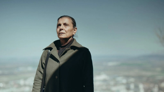 Filmin estrenará en España 16 candidatas al Óscar a la Mejor Película Internacional