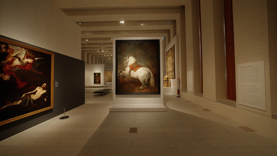 Filmin celebra el Día Internacional de los Museos junto al Reina Sofía, la Fundación Miró y 7 grandes museos más