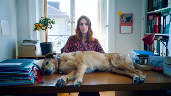 La comedia francesa "El juicio del perro" se estrena en cines el 17 de enero
