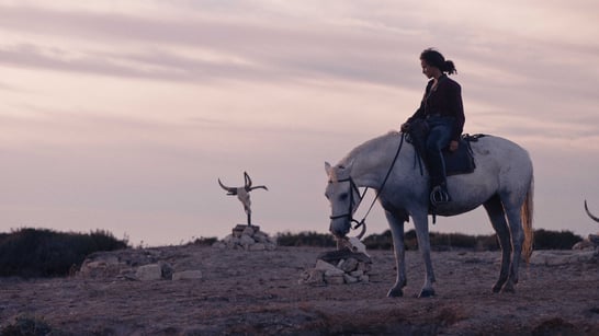 "Animale", toros y #MeeToo en la nueva joya del cine fantástico europeo. Estreno en Filmin el 29 de agosto