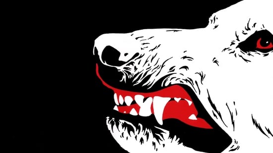 Perro blanco