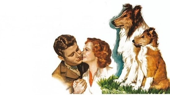 El Cachorro de Lassie