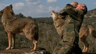 Marcos, el lobo solitario