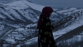 40 Days of Silence