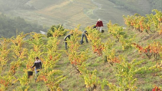 Priorat