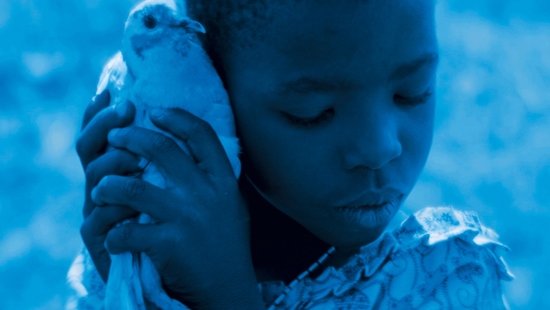 Blue Bird