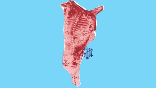 Todo sobre el asado