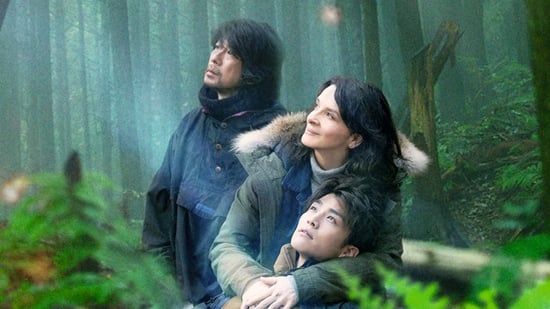 Viaje a Nara (Vision)