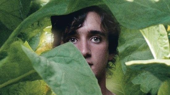 Lazzaro Feliz