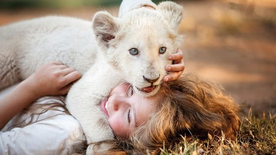 Mia y el león blanco