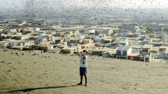 Arica