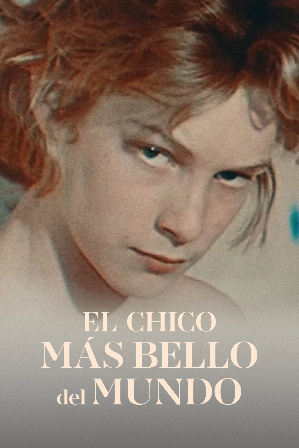 El chico más bello del mundo - Filmin