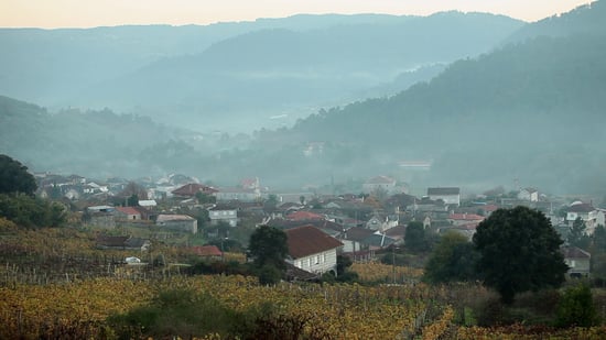 Envino Veritas: Galicia, del terroir al natural