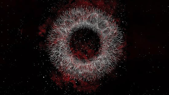 Swans: ¿Dónde acaba el cuerpo?