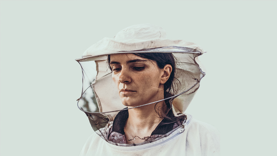 Hive (Colmena)