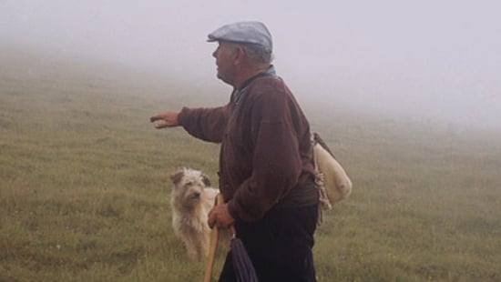 El somni (2008)