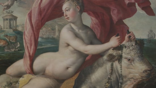 Museo de Bellas Artes, punto de vista