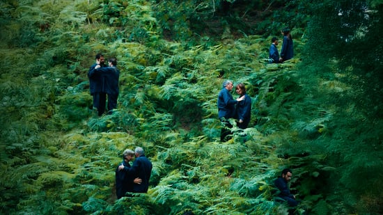The Human Hibernation