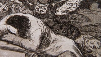 Goya, el secreto de la sombra