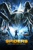 Spiders