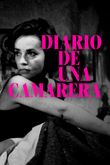 Diario de una Camarera