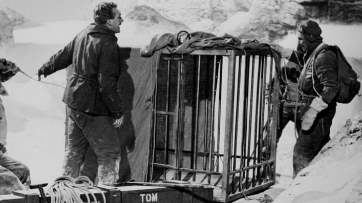El abominable hombre de las nieves