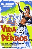 Vida de Perros
