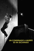 Un condenado a muerte se ha escapado