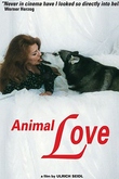 Animal Love