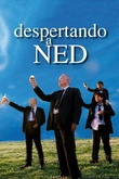 Despertando a Ned