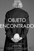 Objeto Encontrado