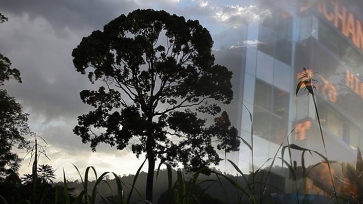 Banking Nature