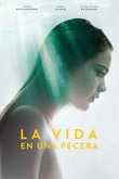La vida en una pecera
