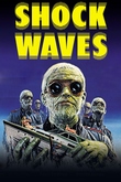Shock Waves