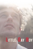 Little Gay Boy