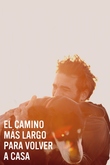 El camino más largo para volver a casa