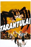 Tarántula