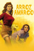 Arroz Amargo
