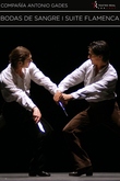 Bodas de sangre y Suite Flamenca