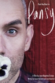 Pansy